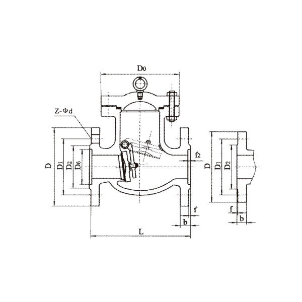 Swing check valve