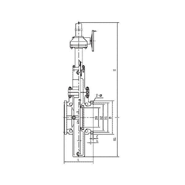 Bevel gear driving parallel plate gate valve with diversion hole