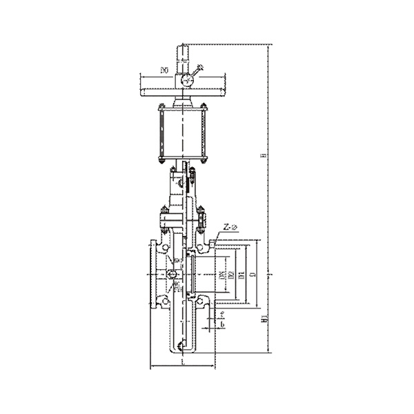 Pneumatic operated parallel plate gate vavle with diversion hole